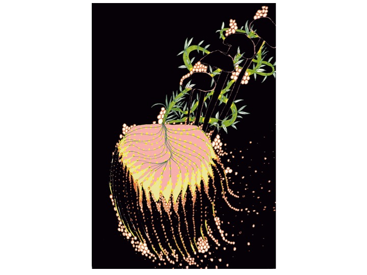 A Palm over Rosalinda's