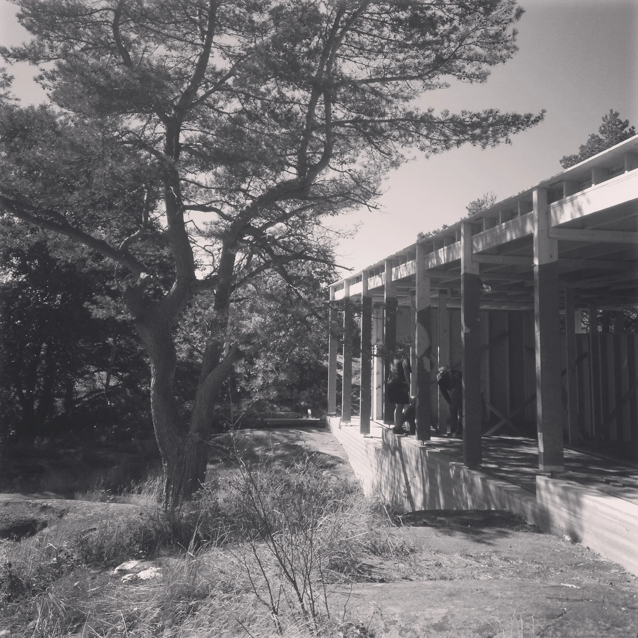 08/2016 - Befaring hytte Risør.