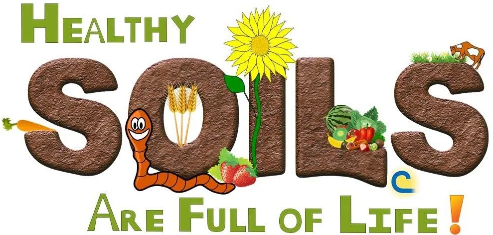 2017-healthy-soils-are-full-of-life_29547569720_o.jpg