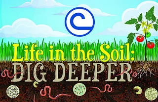 life in the soil.jpg