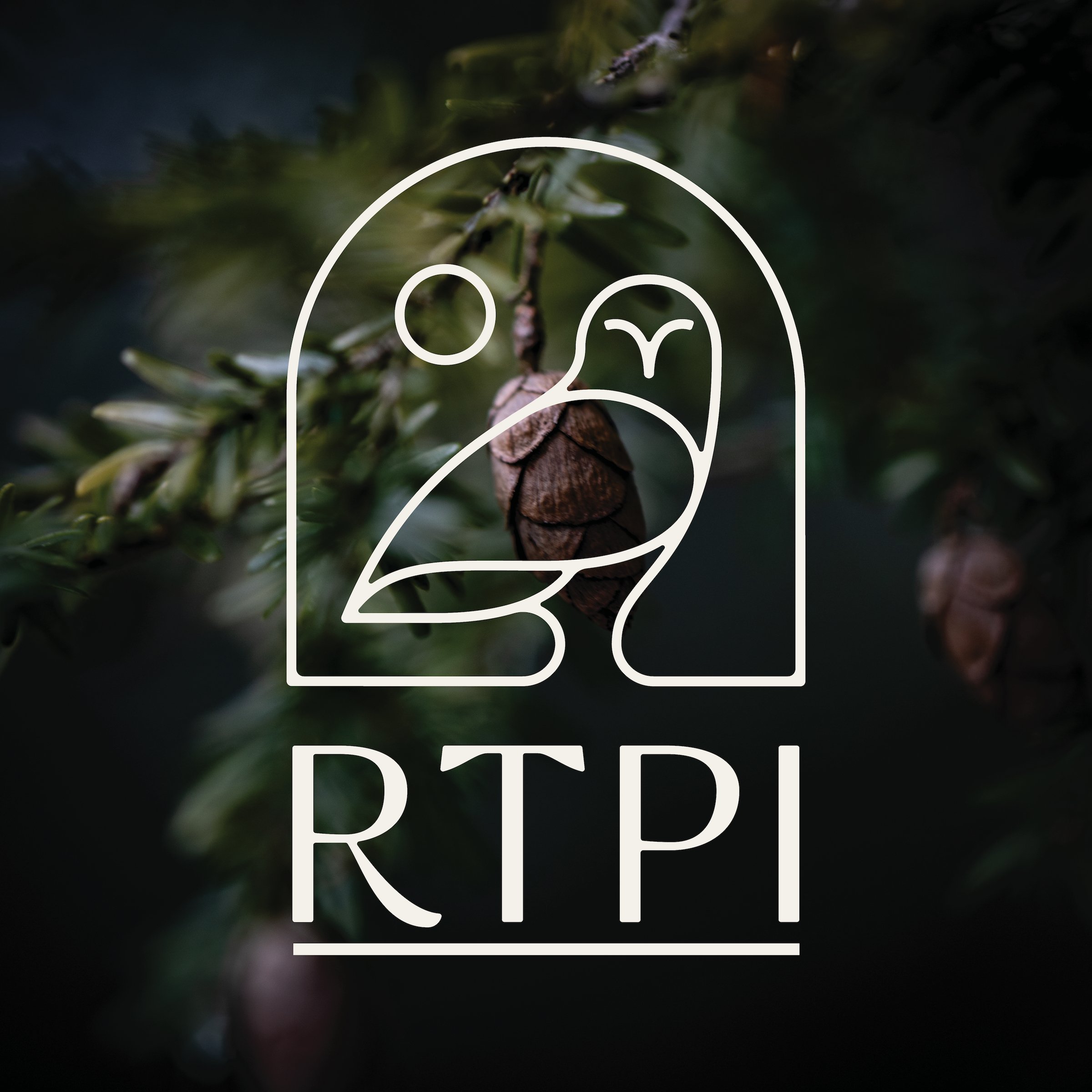 RTPI Image.jpg