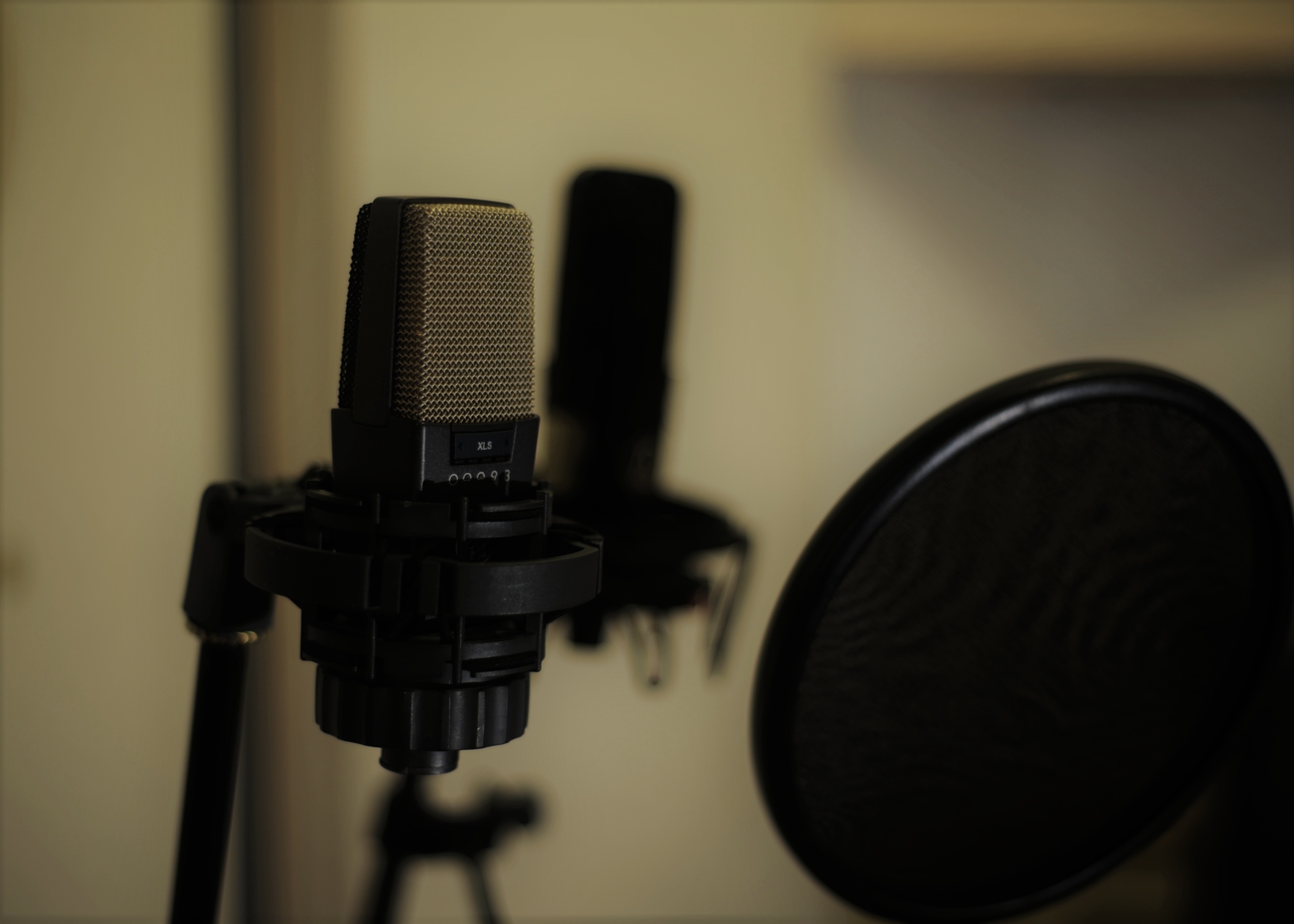 Quality Mics at your disposal