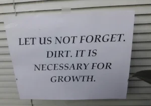 Dirt.jpg
