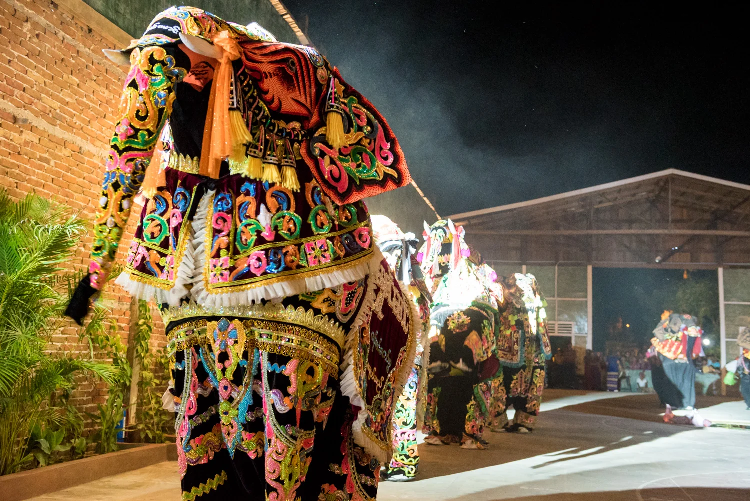Elephant dancers