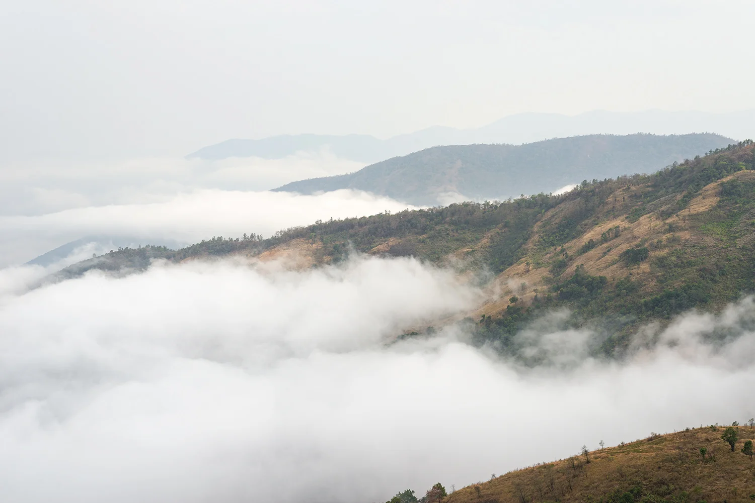 Descending through the clouds