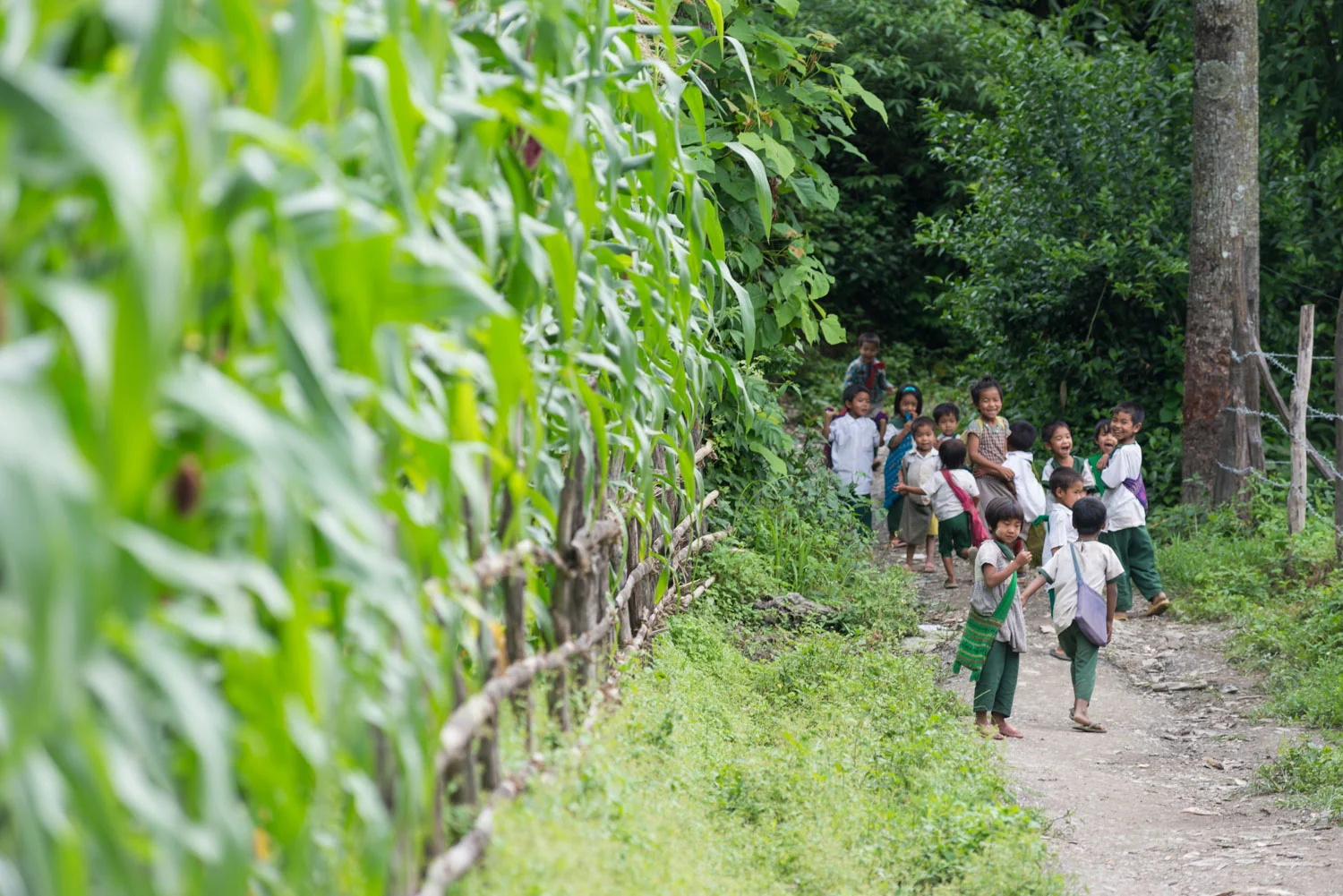 Dimpi schoolchildren