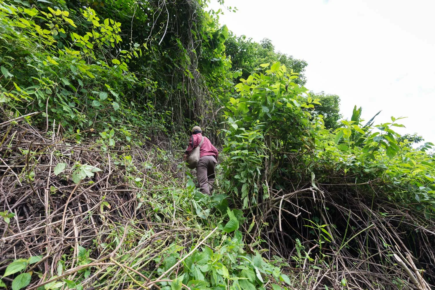 Reaching the upper orchard