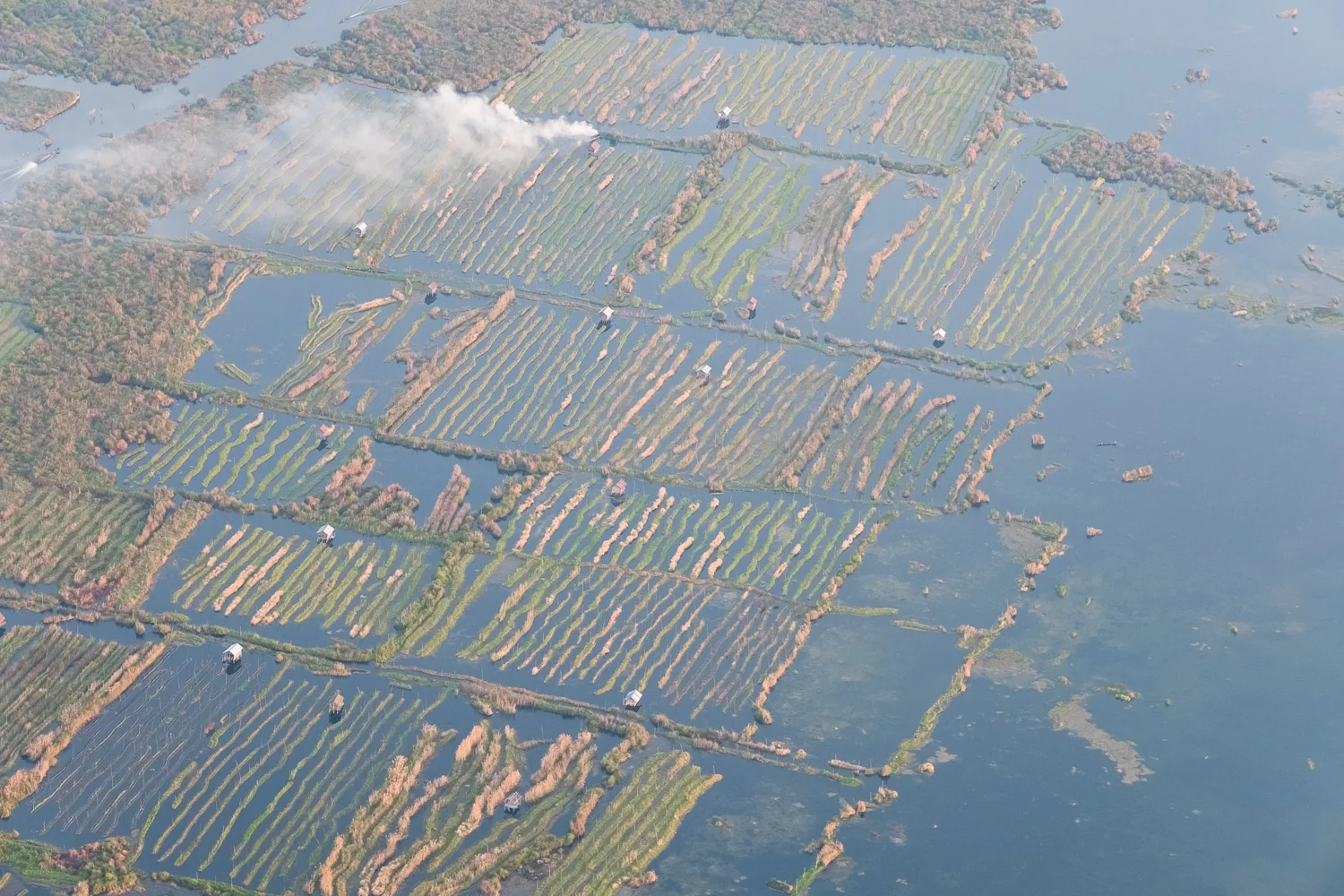Aerial view of Inle tomato farms
