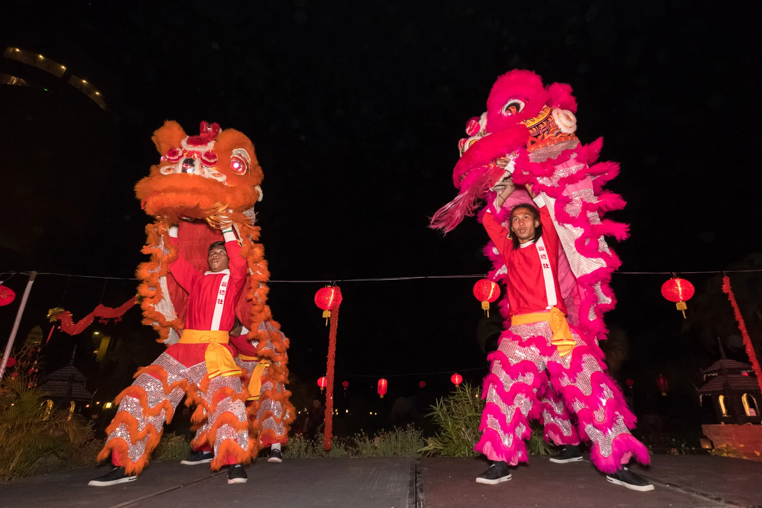 Chinese new year dragon dancers