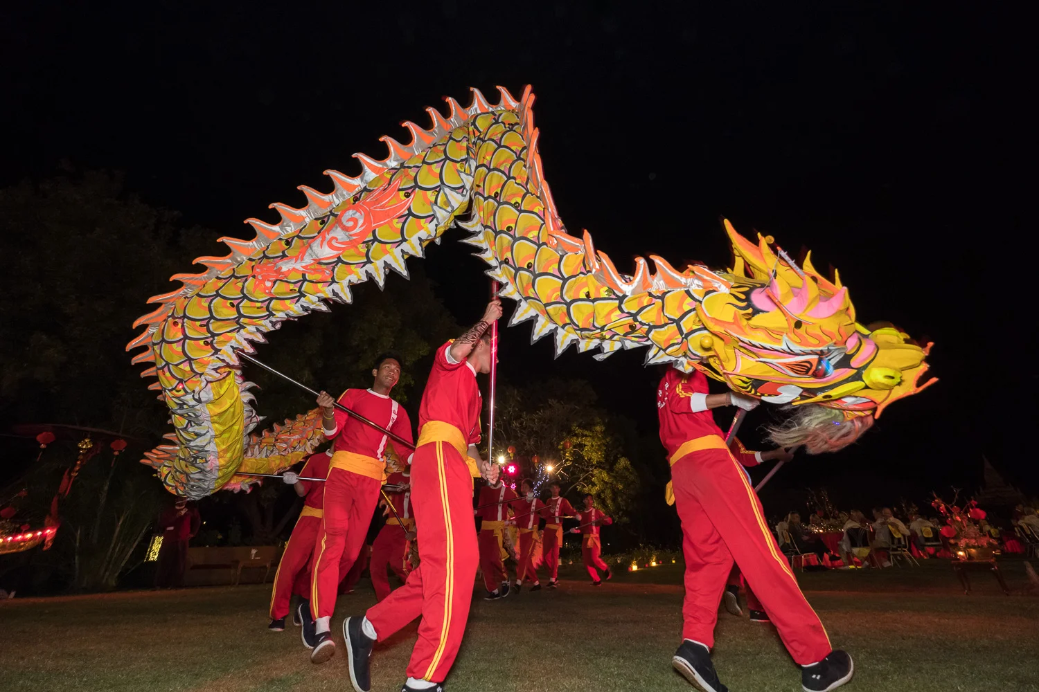 Chinese new year performers