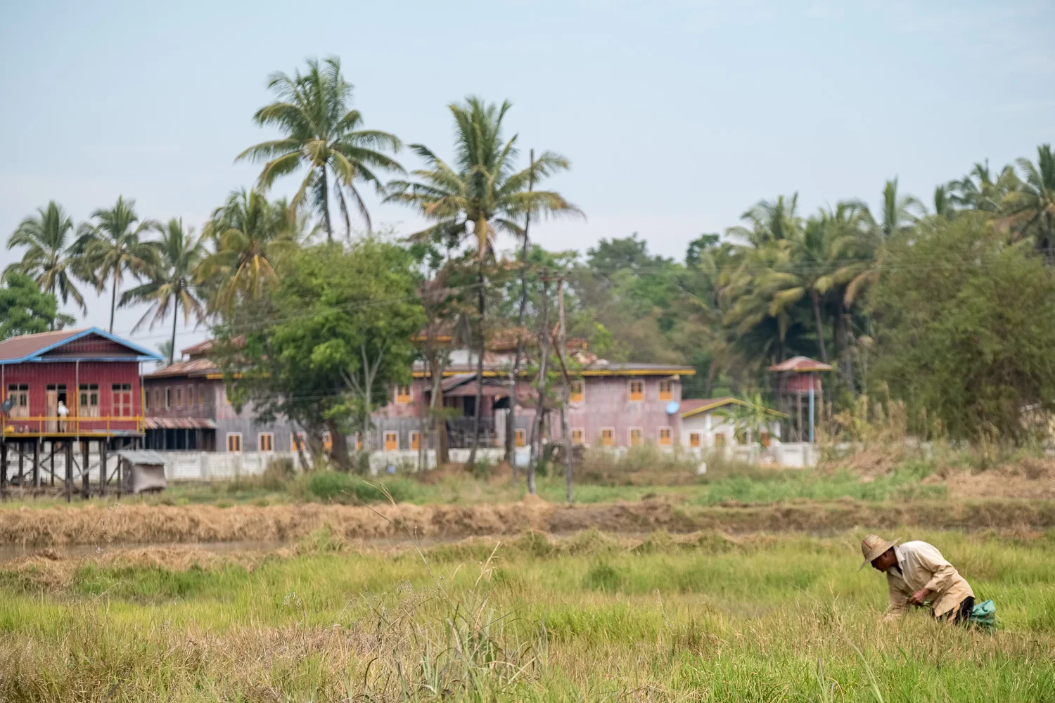 Inle Lake farmer