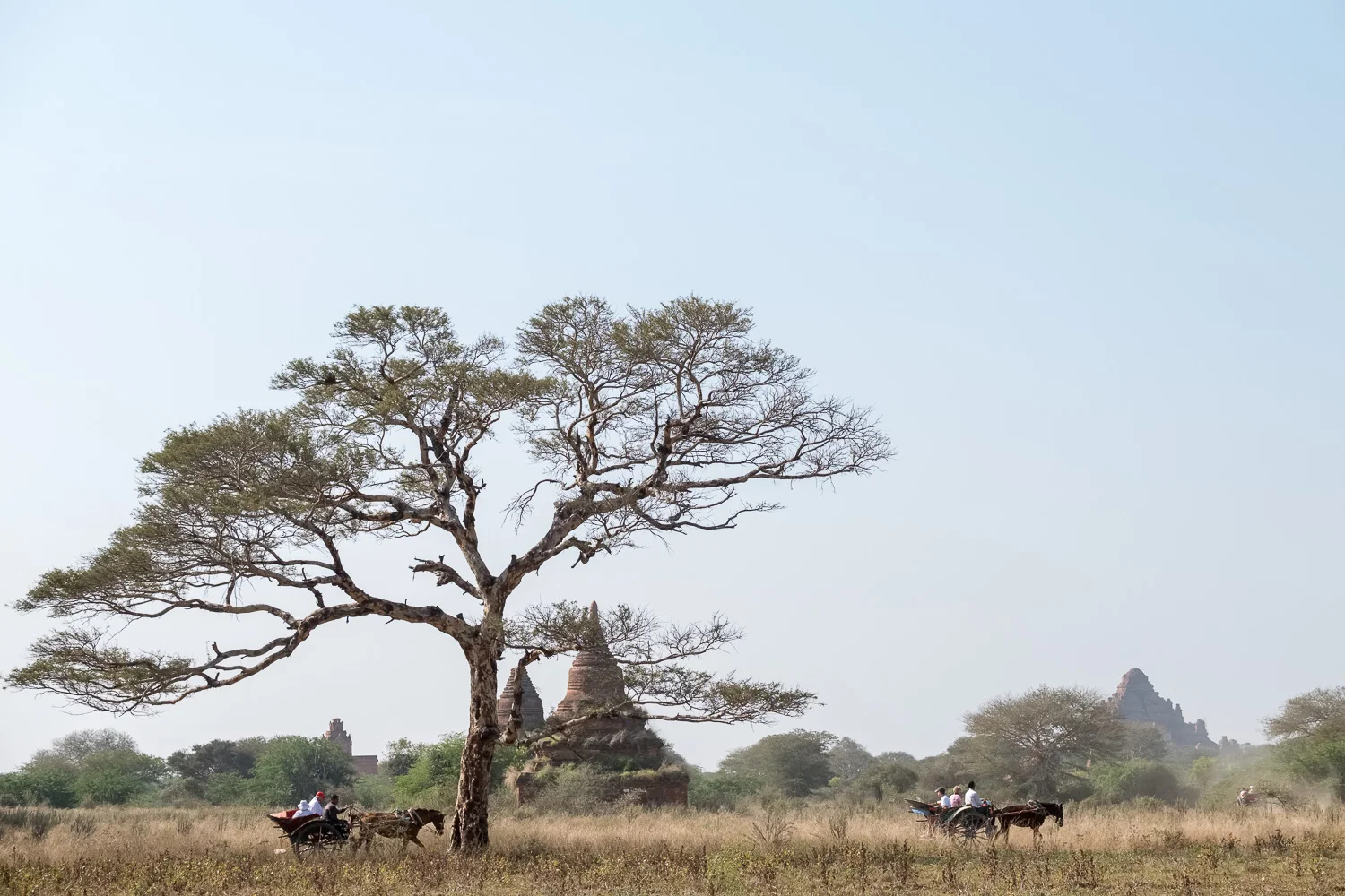 Bagan landscape