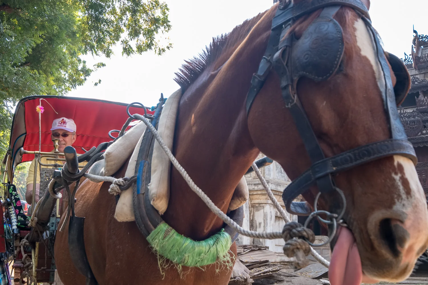 Bagan horsecart