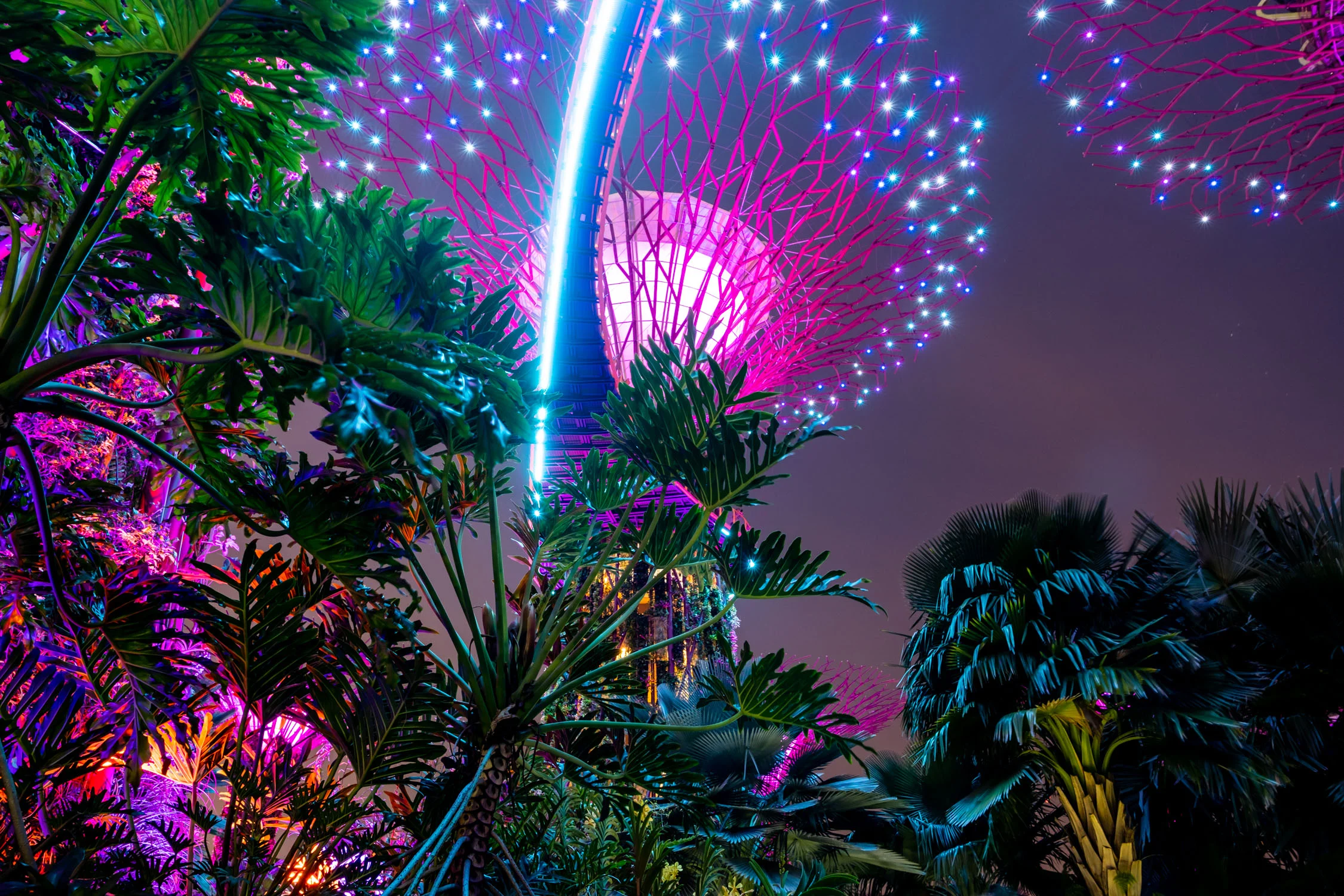 Gardens by the Bay, Singapore
