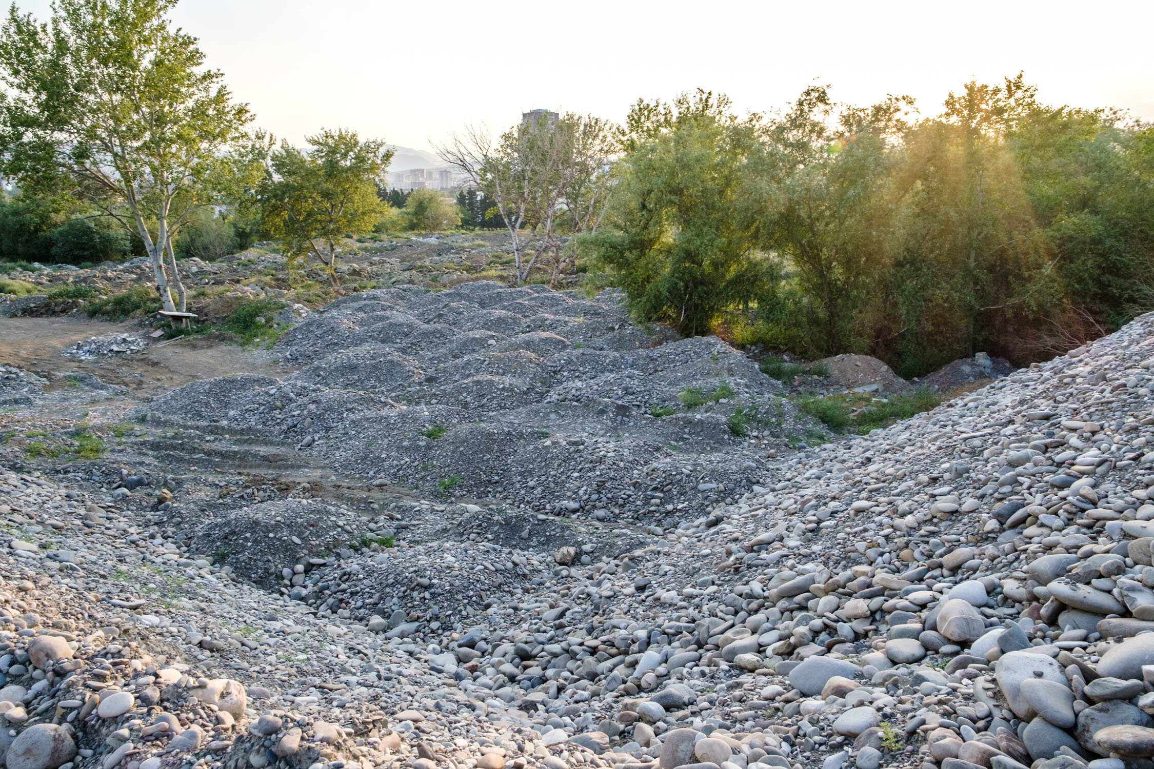 Much of the remaining meadowland looks like this