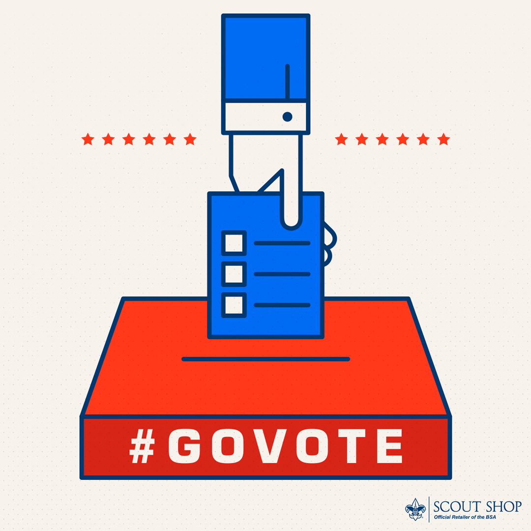 social_go_vote_1080x1080.gif