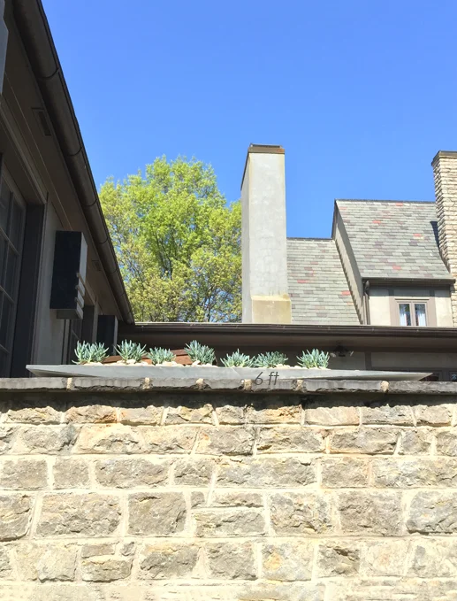 Succulent Schooner-on wall.jpg