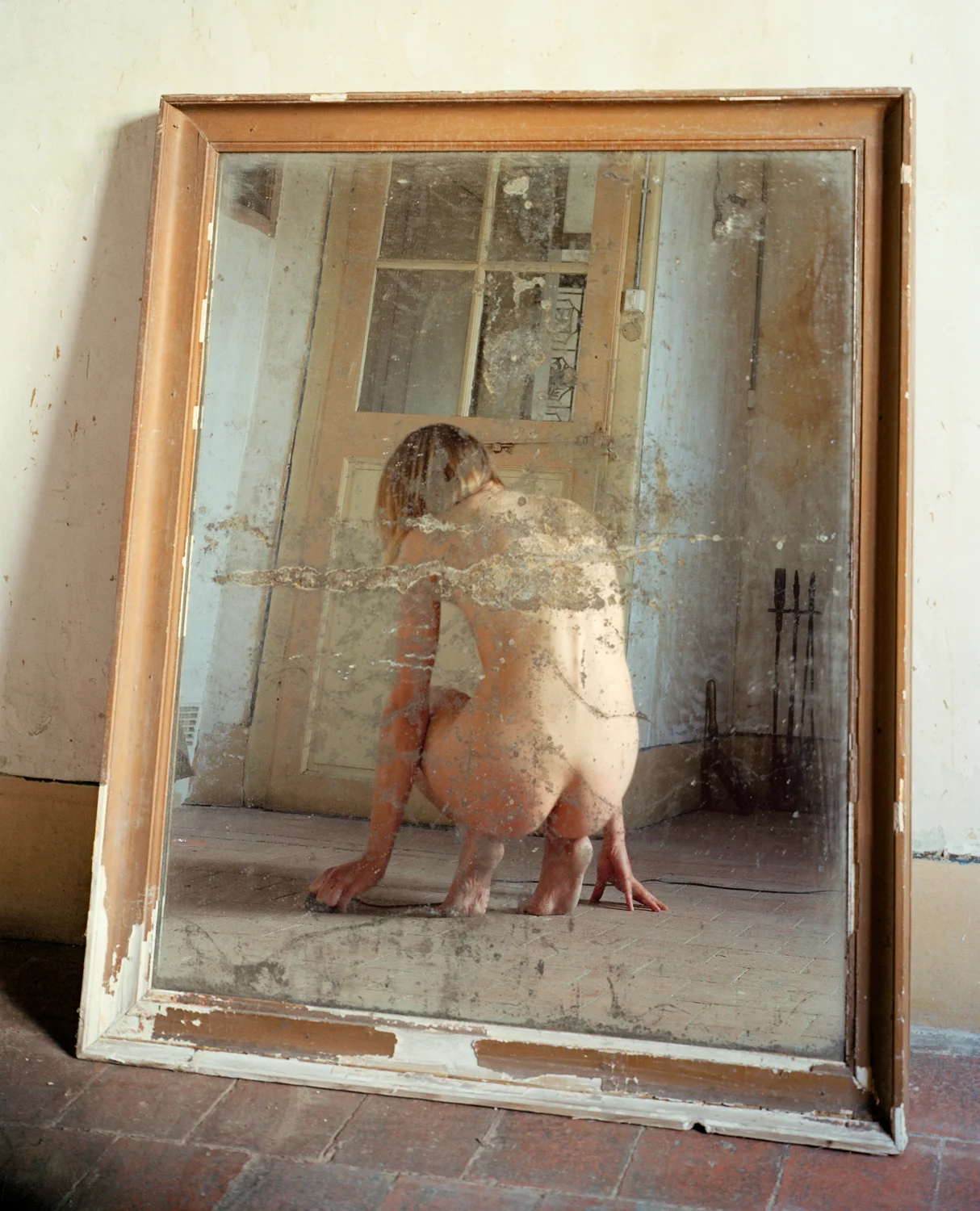 Model Study 5