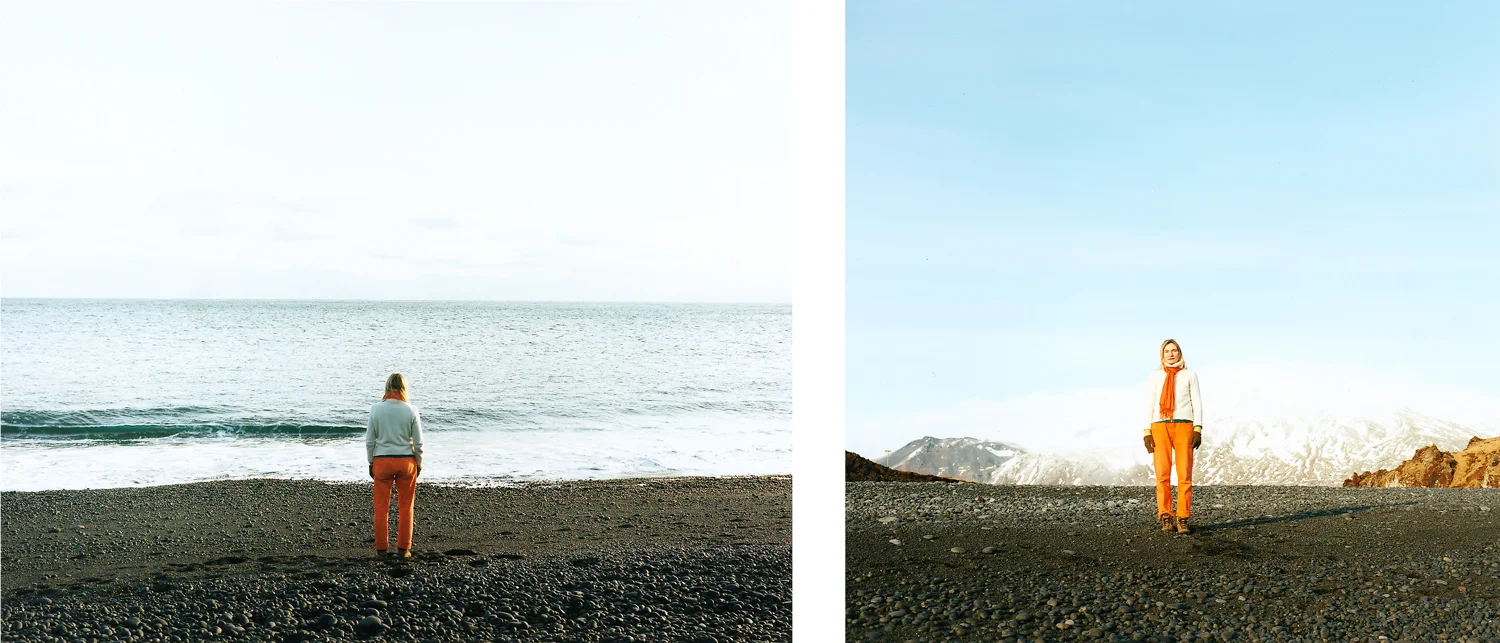 Points of View on Landscape IV (diptych)