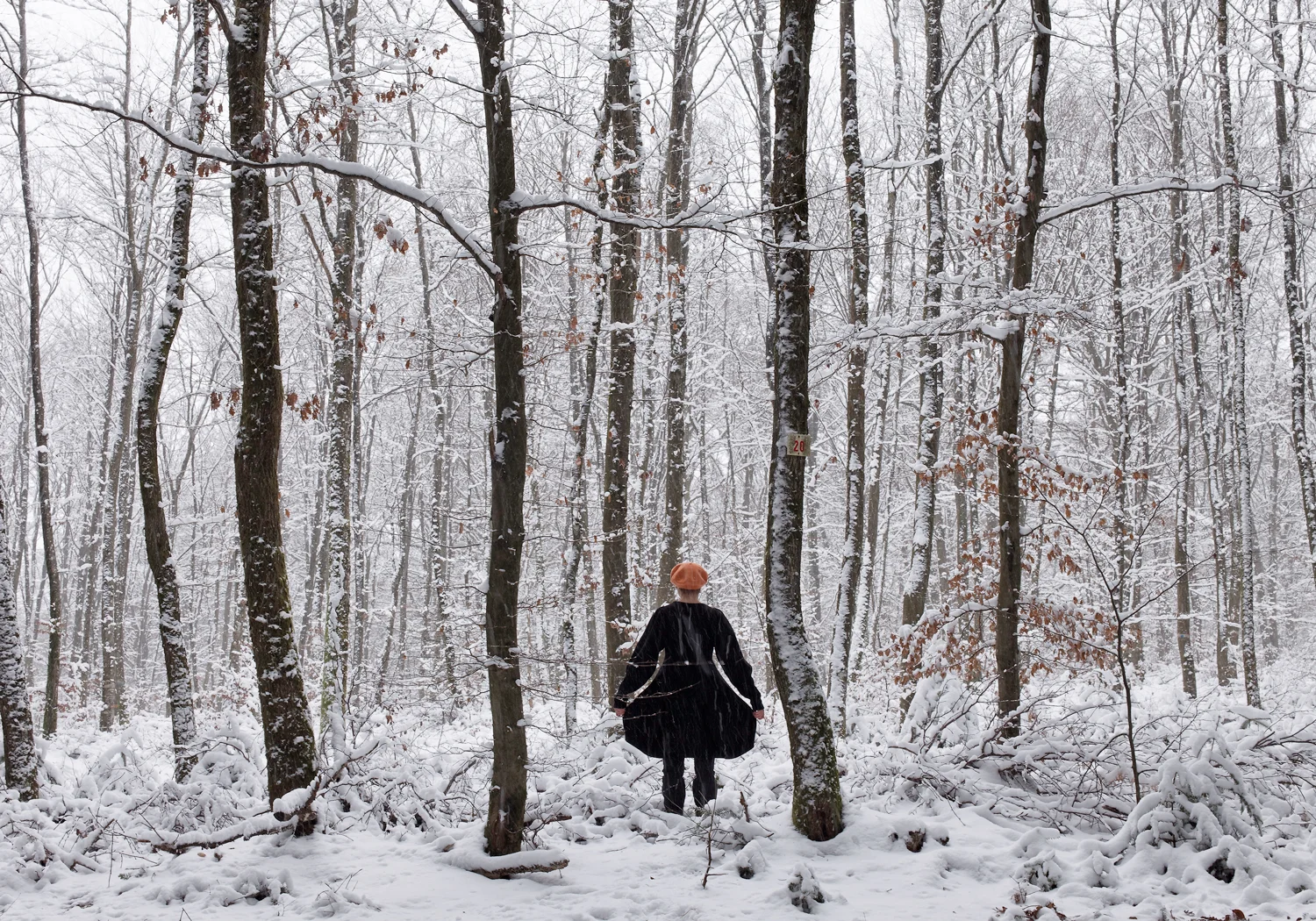 Winter landscape with Laura's dress