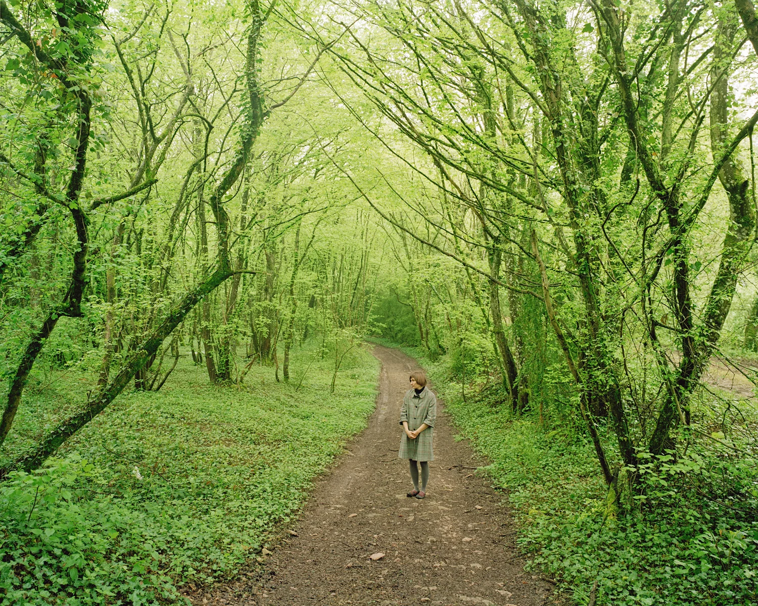 Chemin des bois