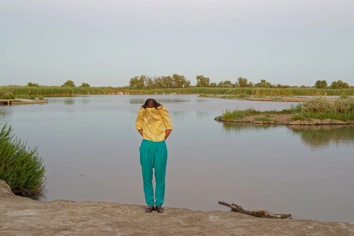 Portrait Series (Camargue)