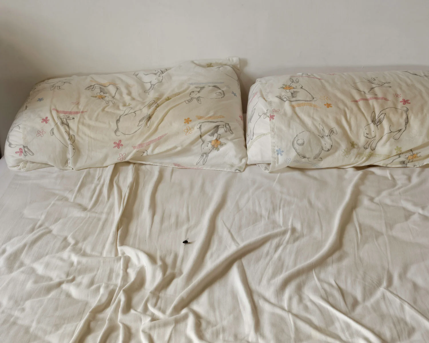 Bed Event