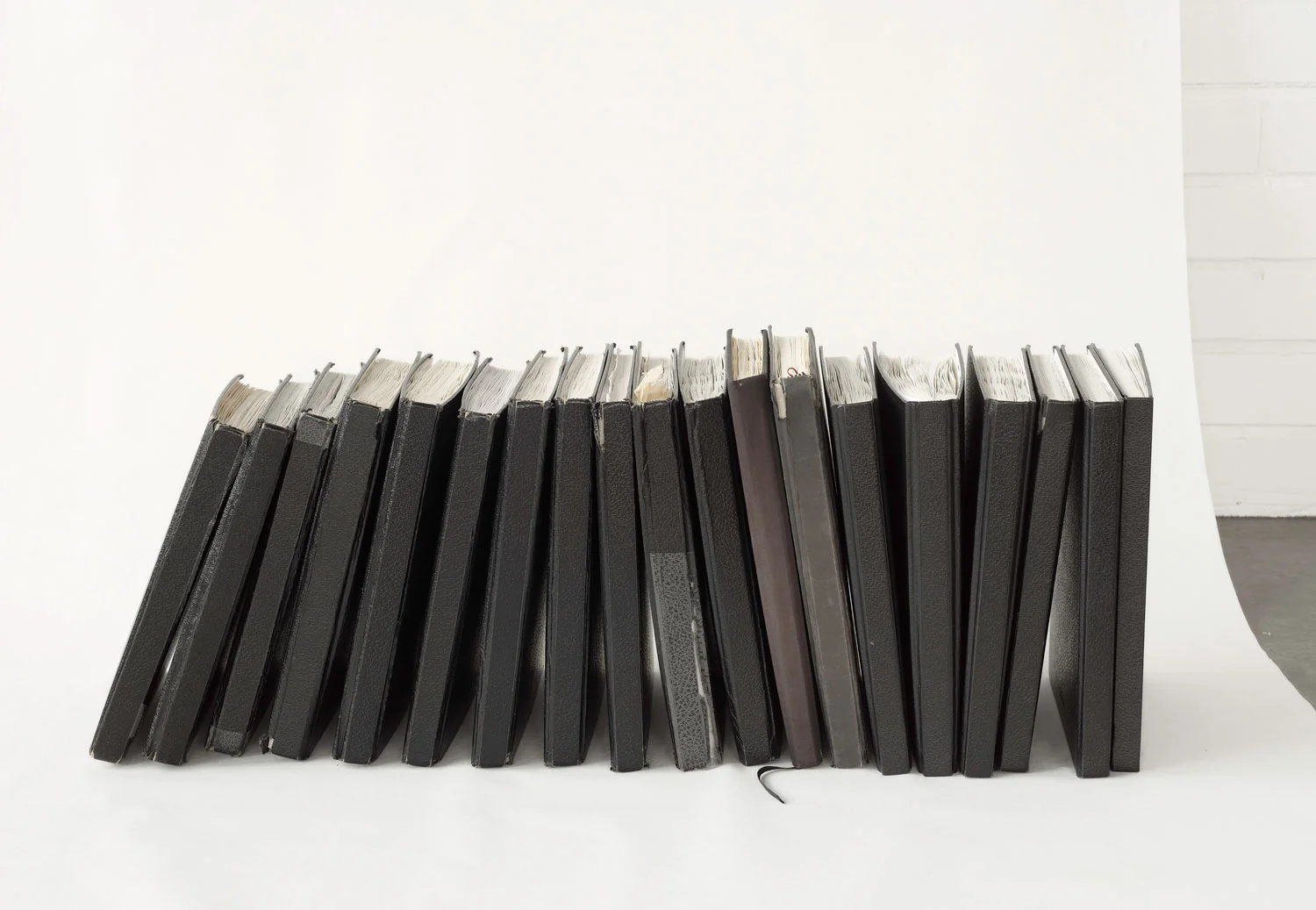 The Complete Works of Elina Brotherus