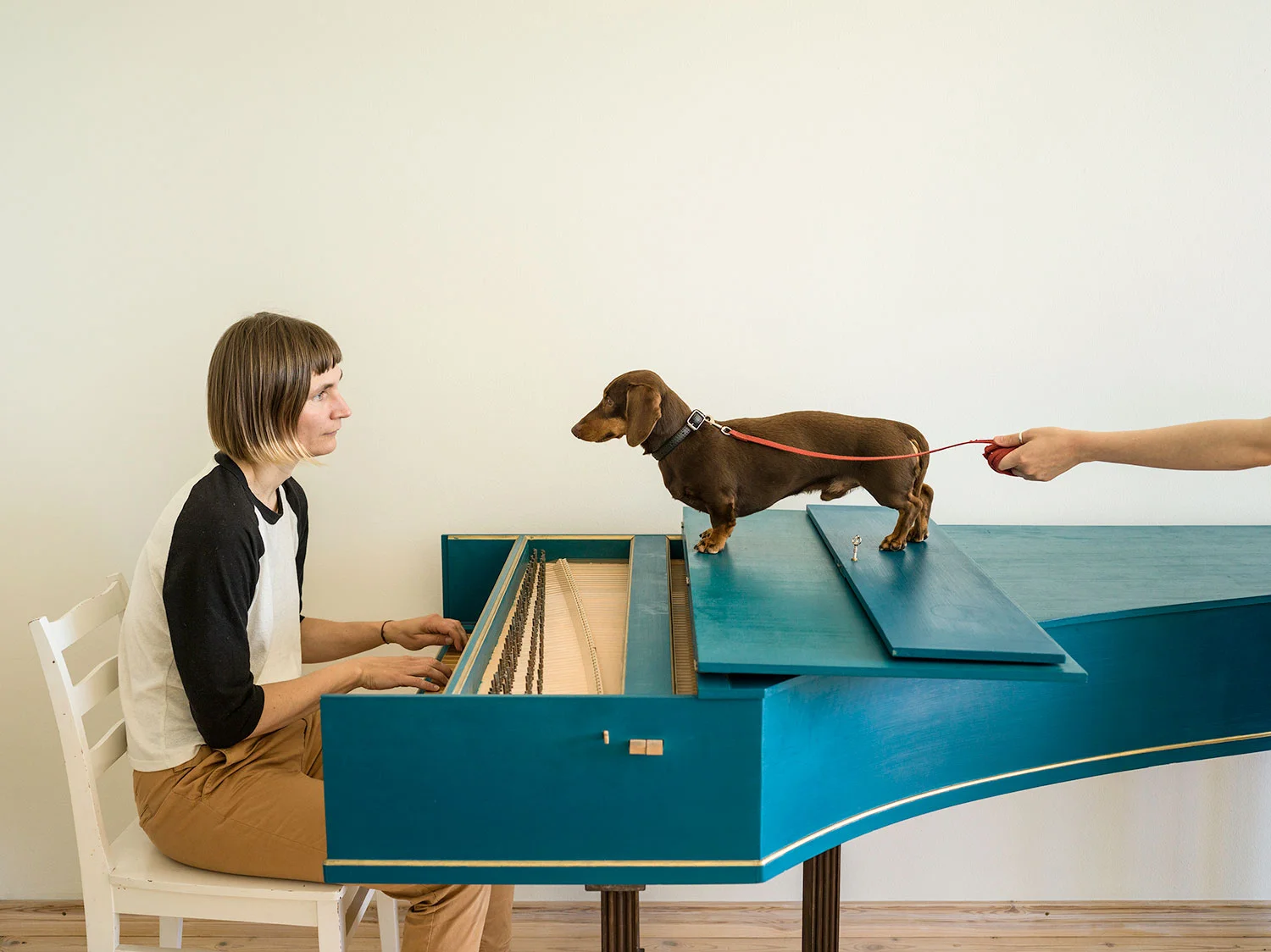 Flux Harpsichord Concert