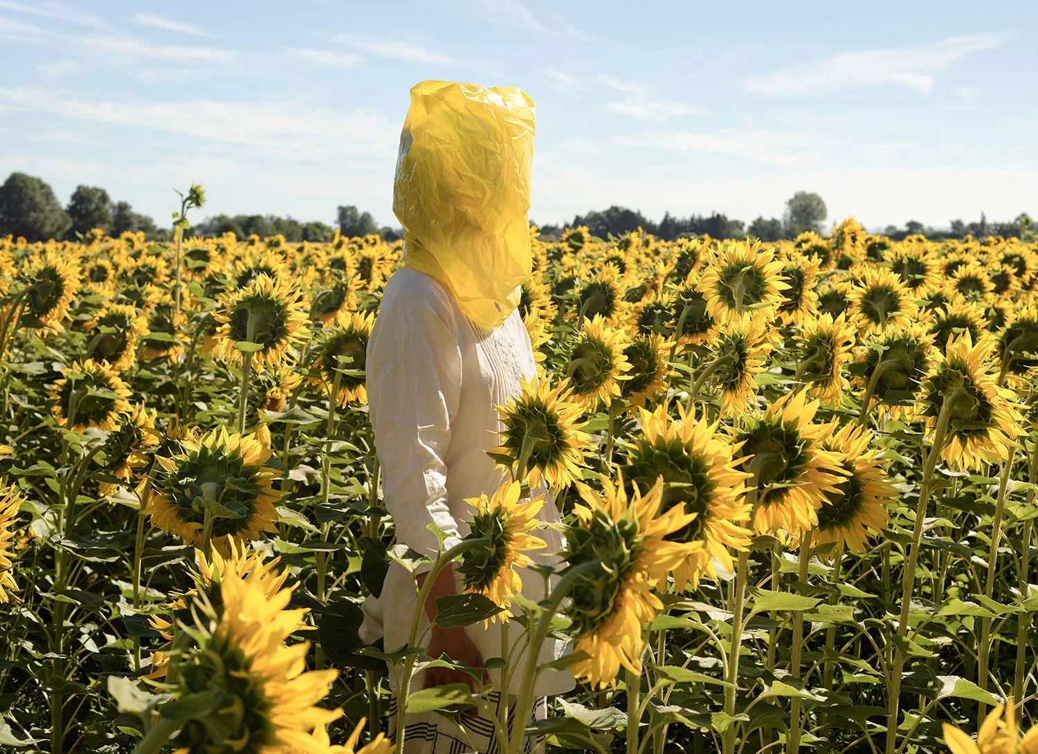 Portrait-Series-(Gelbe-Musik-with-Sunflowers)_for-web.jpg