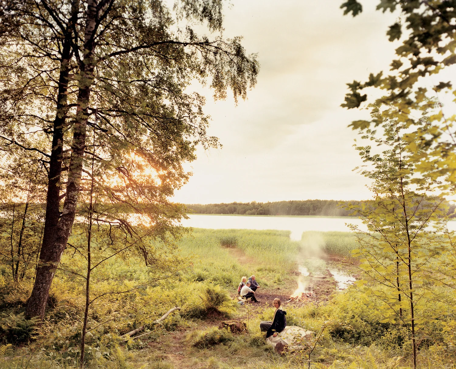 Landscapes and escapes I