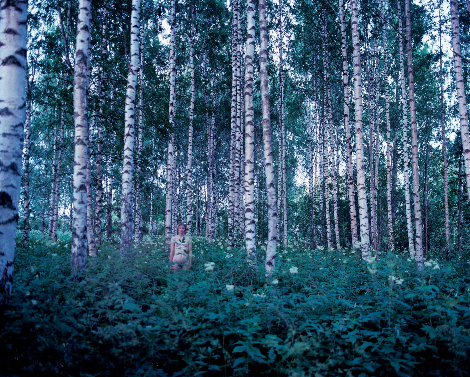 Landscapes and escapes V