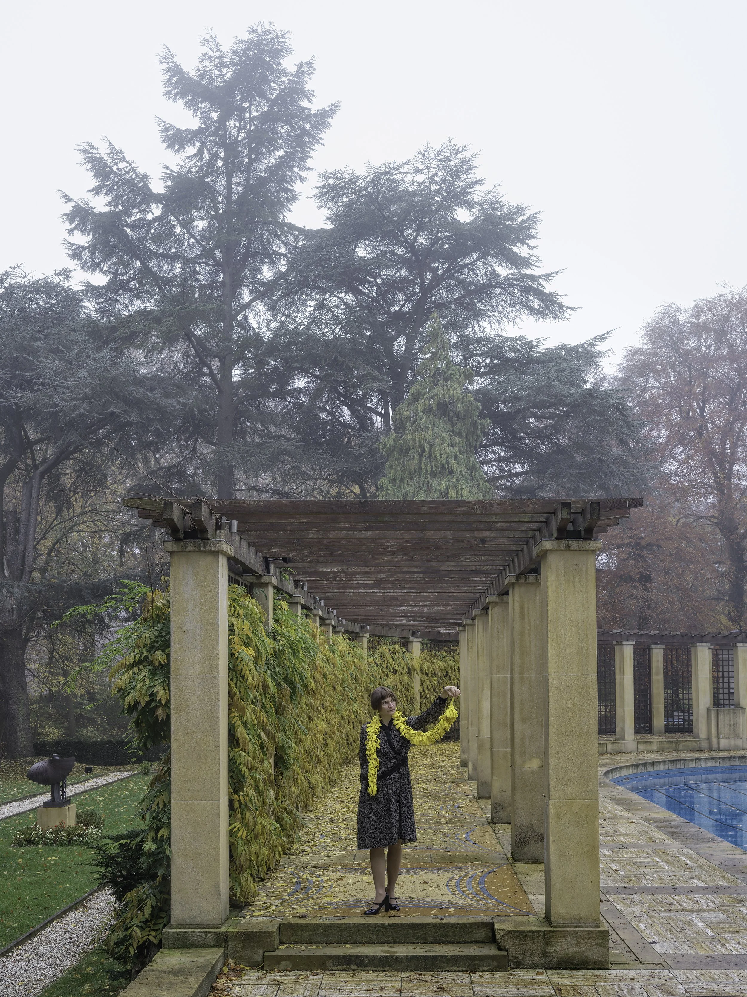 Pergola (brouillard)