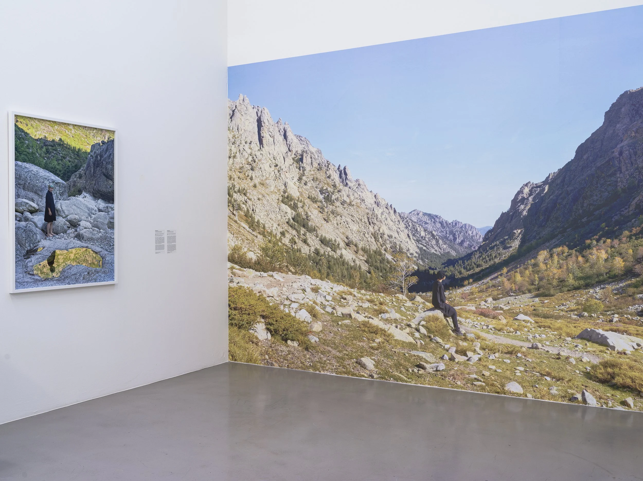 2020 - Why not, Weserburg Museum of Modern Art, Bremen