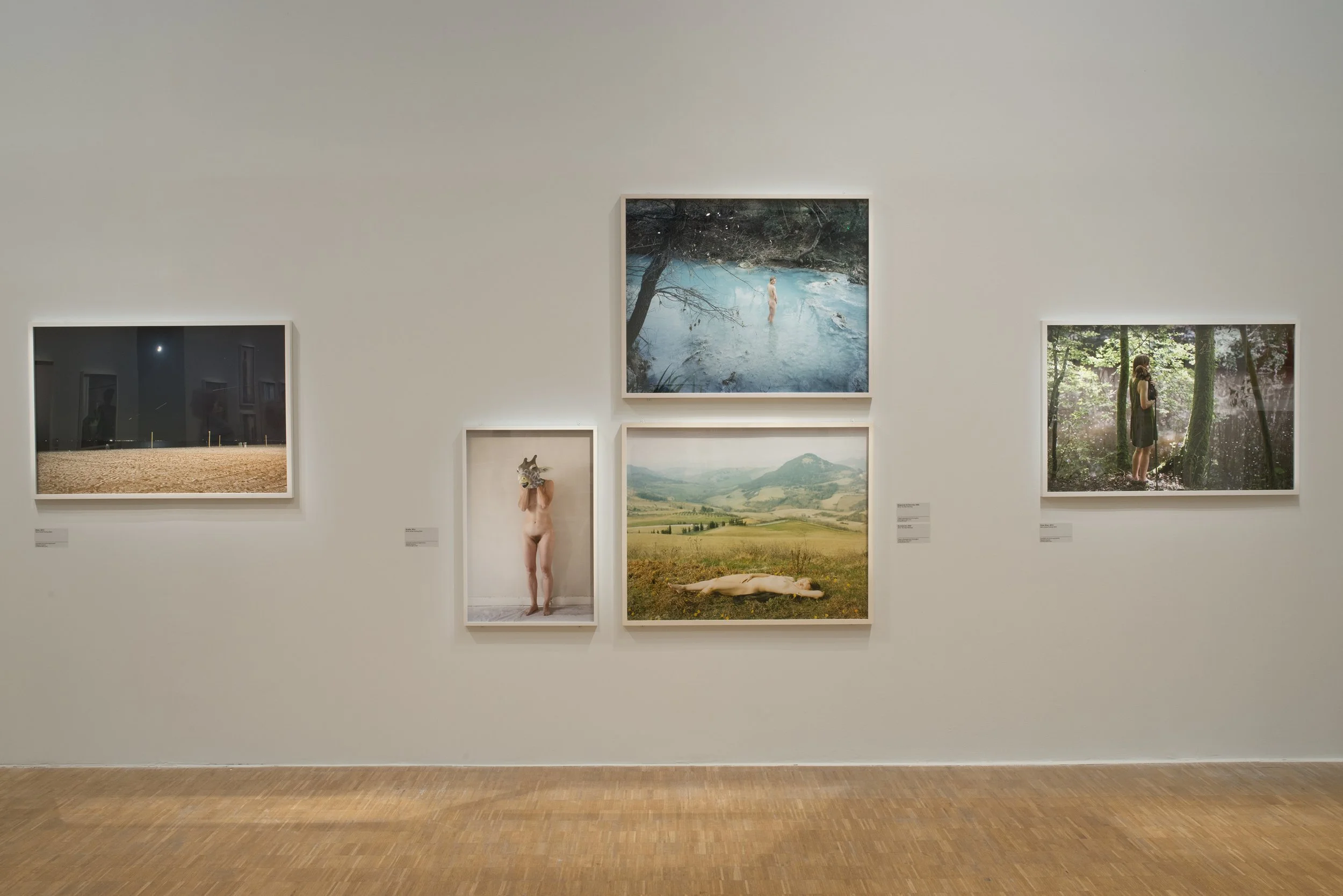 2016 - La lumière venue du nord, Pavillon Populaire, Montpellier