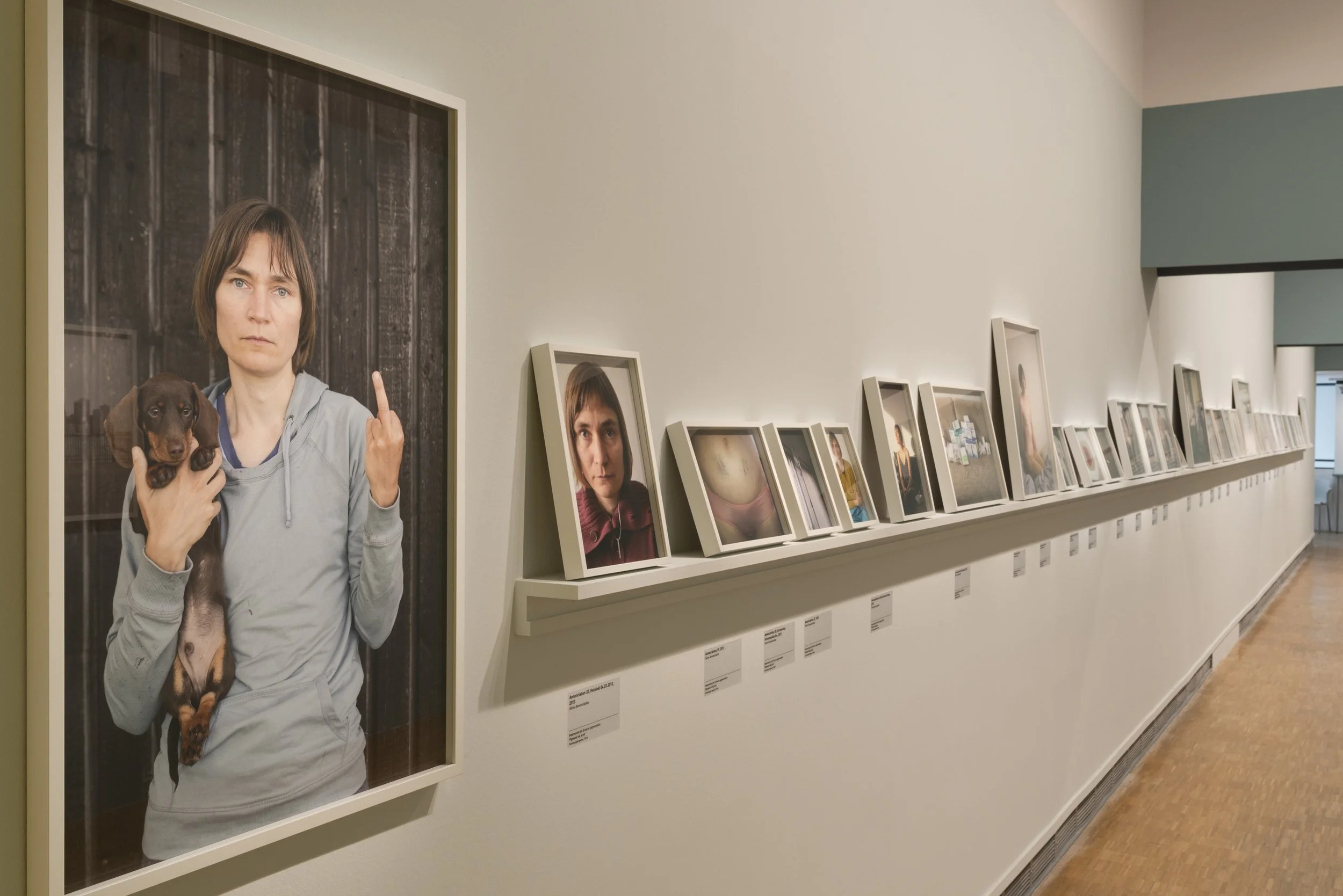 2016 - La lumière venue du nord, Pavillon Populaire, Montpellier