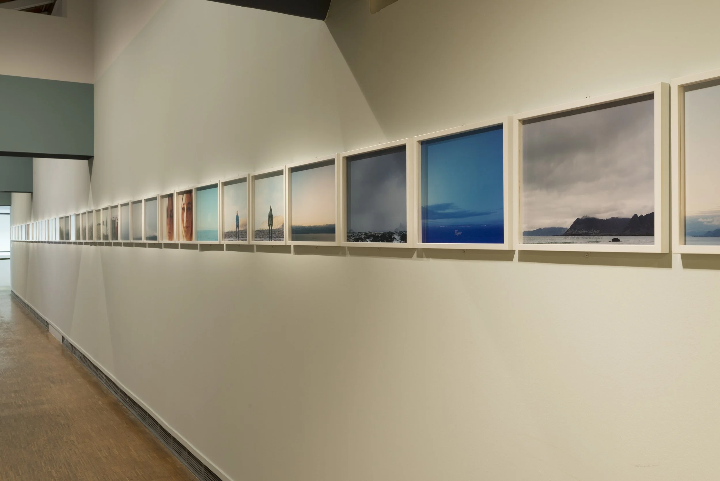 Elina Brotherus_Pavillon Populaire_2016_DSC2153.jpg