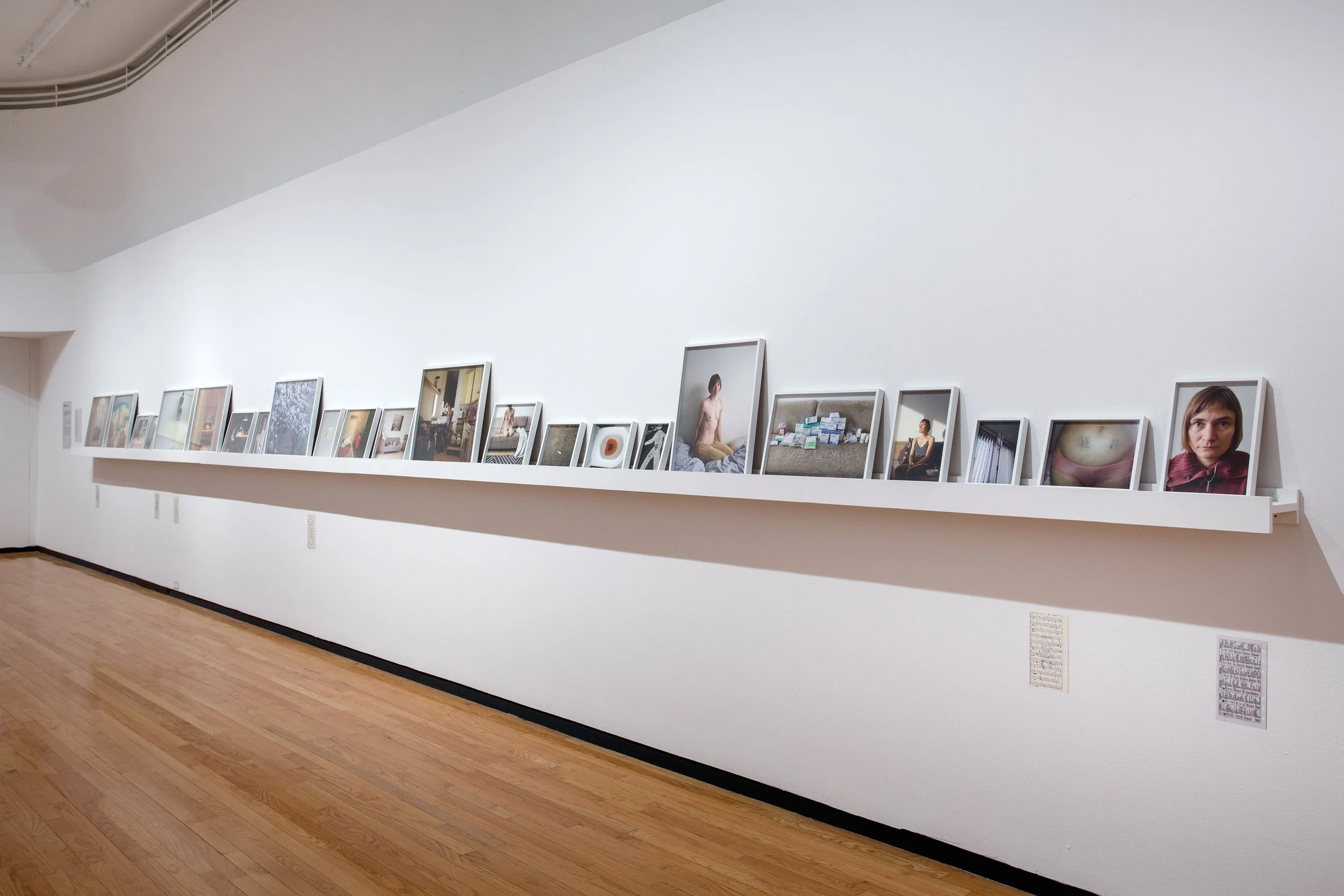 2014 - Home Truths, Museum of Contemporary Photography, Chicago