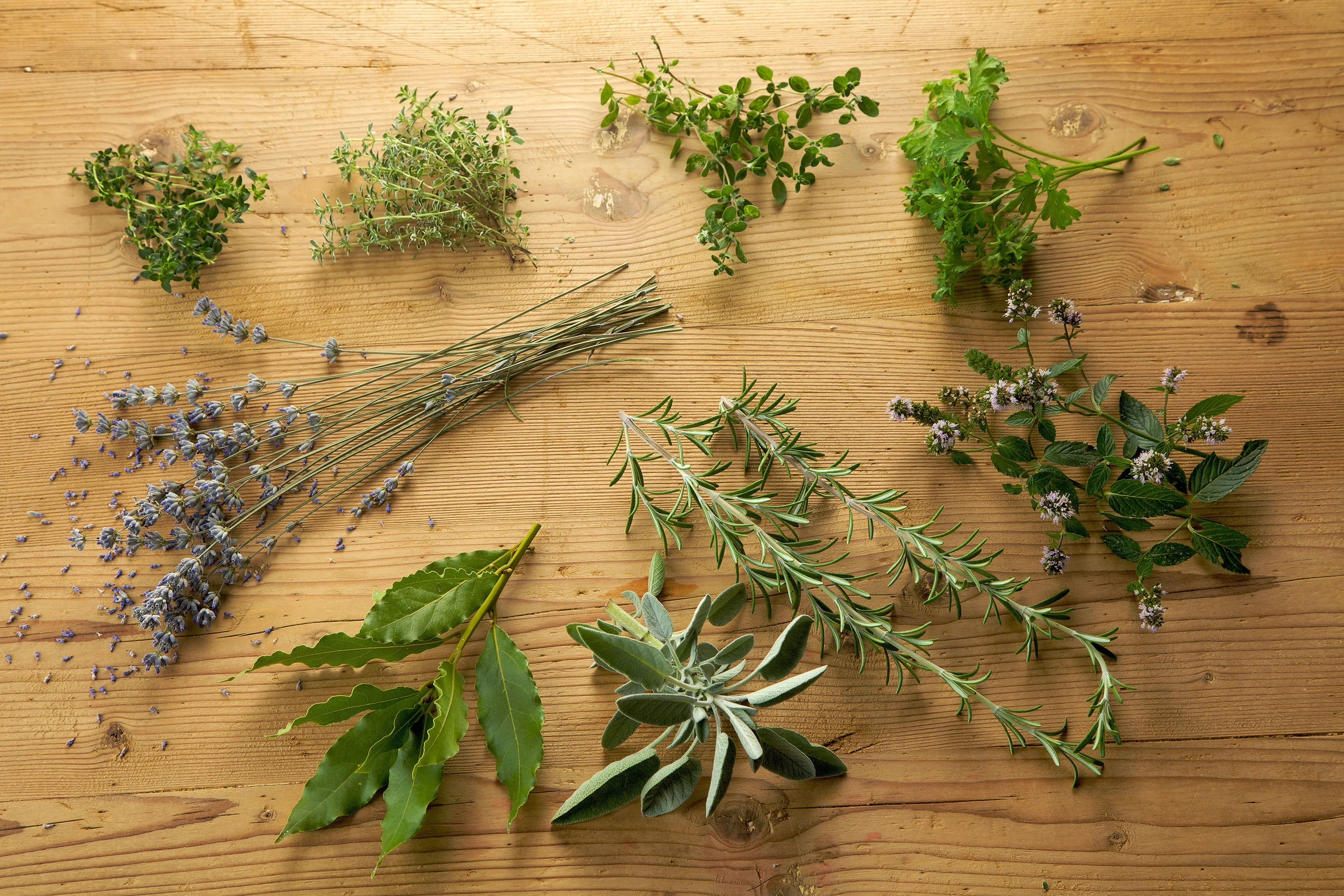 MEDICINAL PLANTS AND COSMETICS