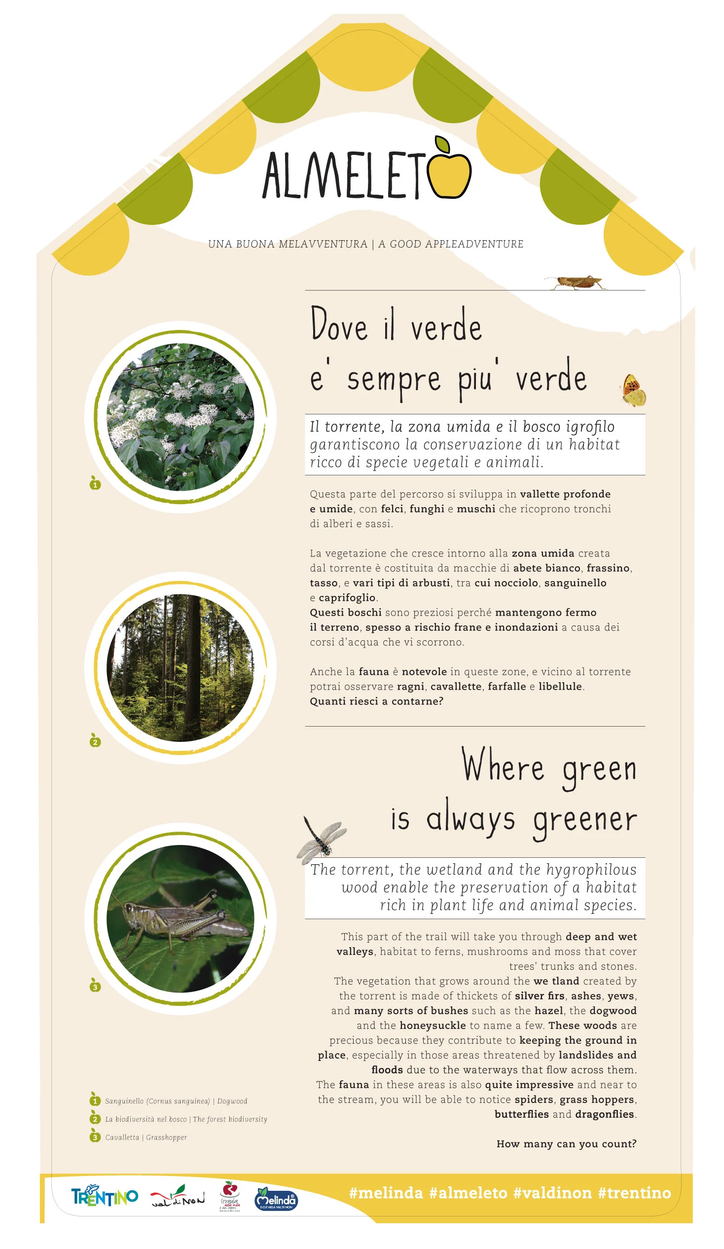 WHERE GREEN IS ALWAYS GREENER