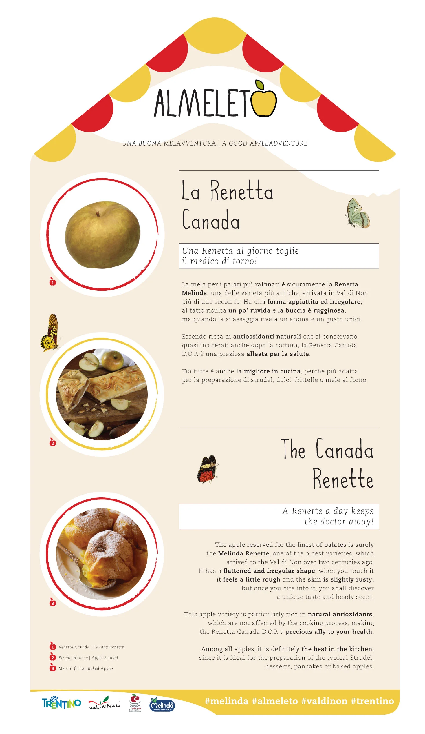 THE CANADA RENETTE