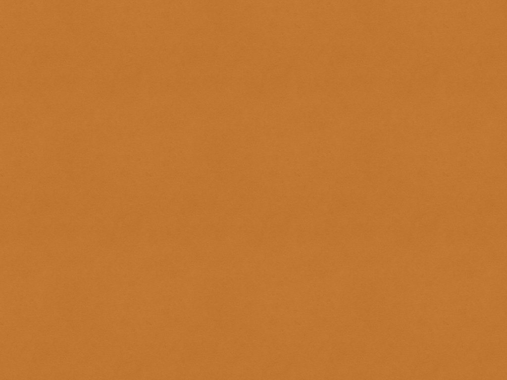 Untitled.001.jpg