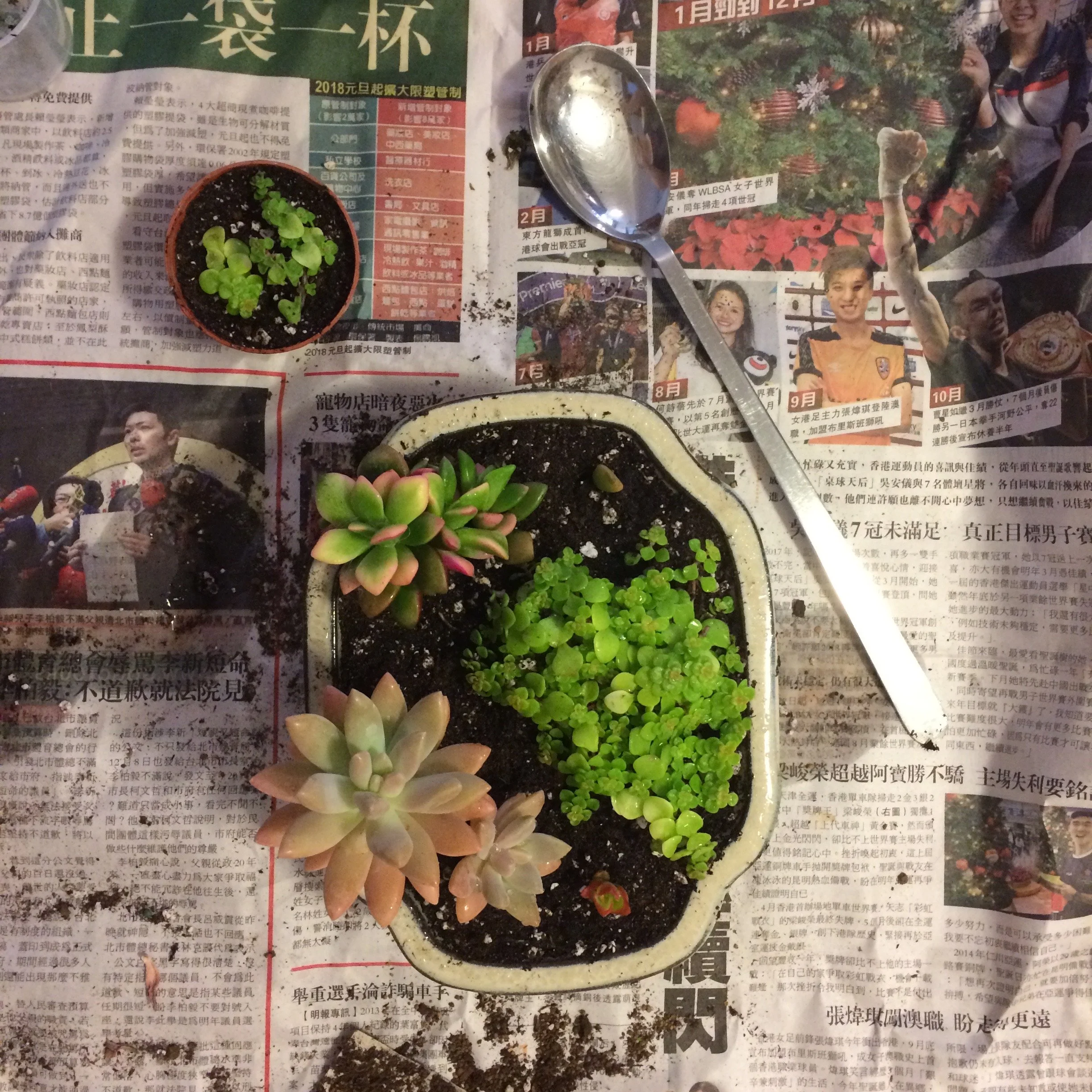 Do I need to replace my planter soil?