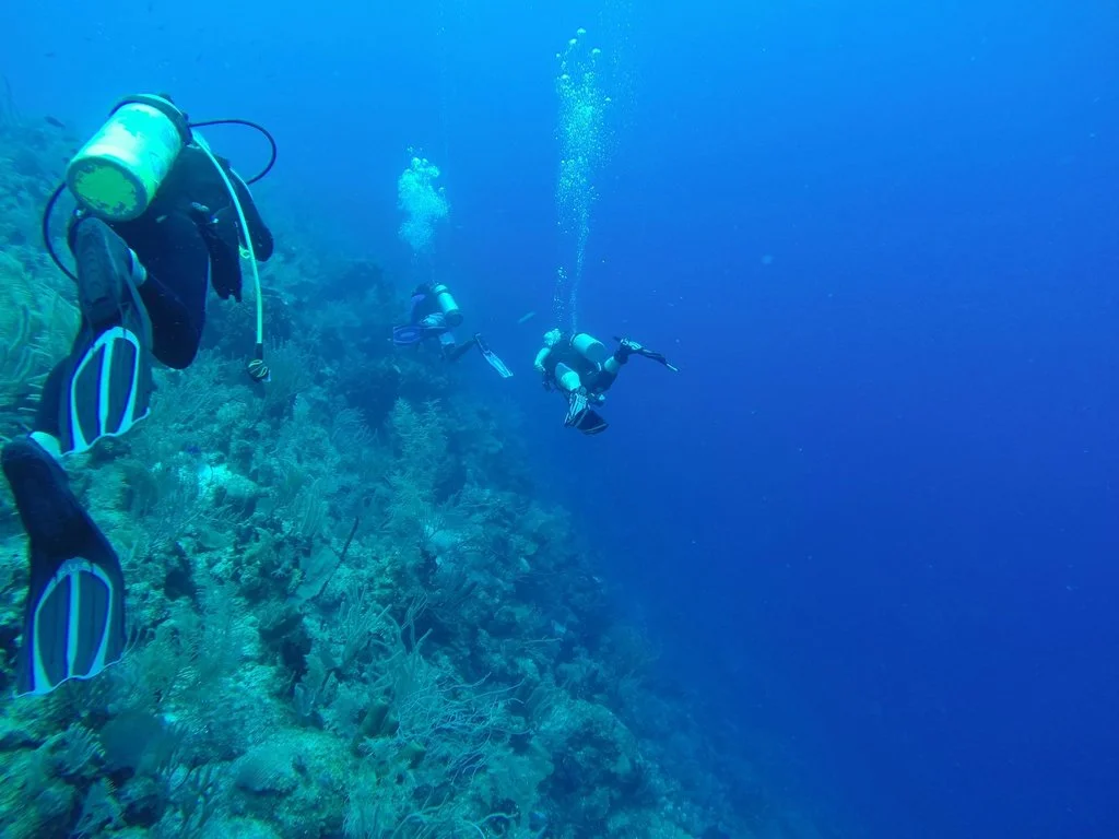 First Dive – Cutting My Teeth on the Belize Barrier Reef