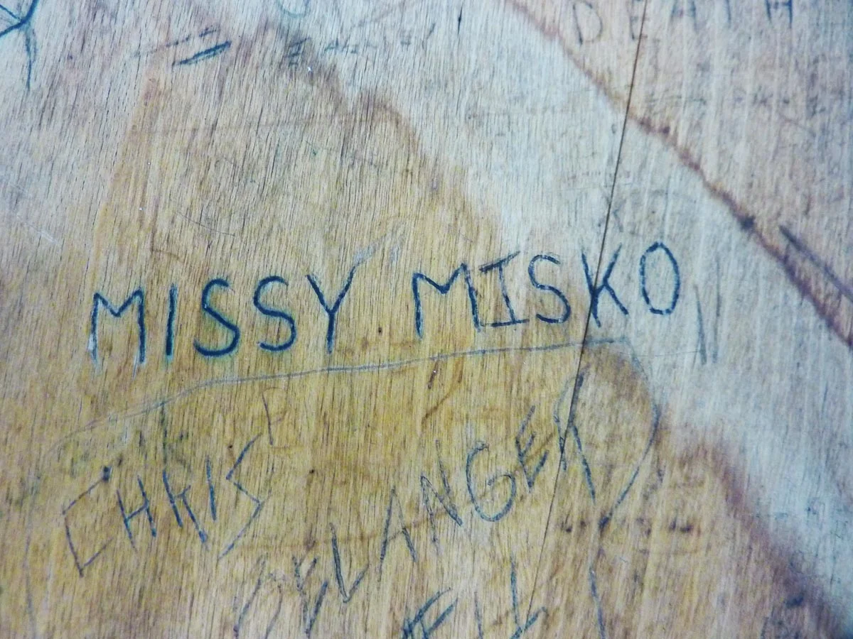 D3 Missy close up 2.JPG