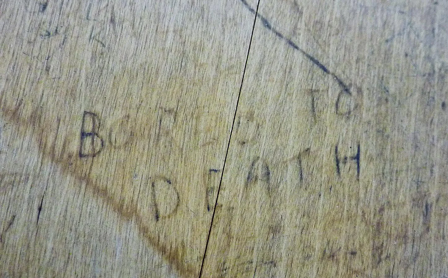 D3 Missy close up3.JPG