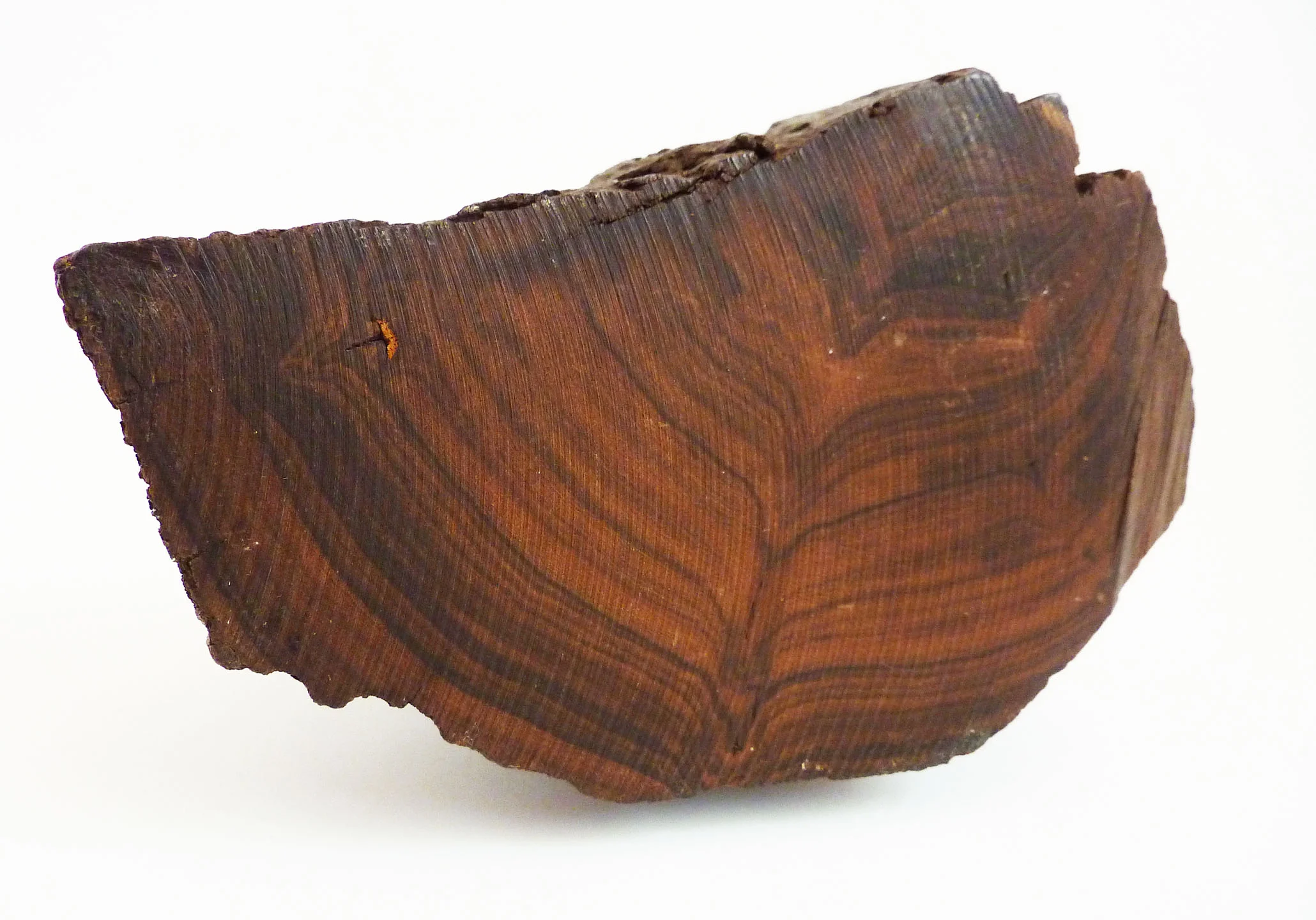 raraavisdesign-eagle btm.JPG