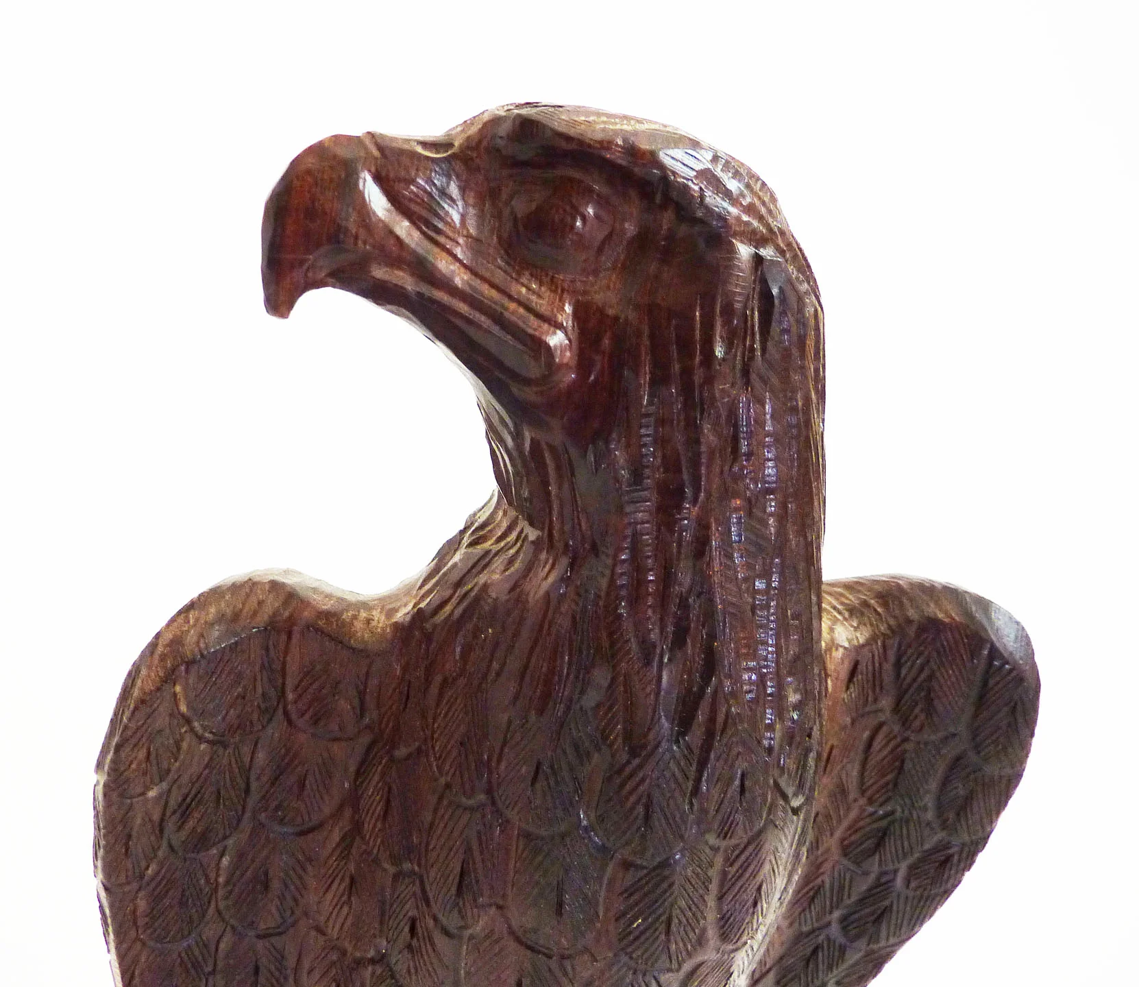 raraavisdesign-eagle head.JPG