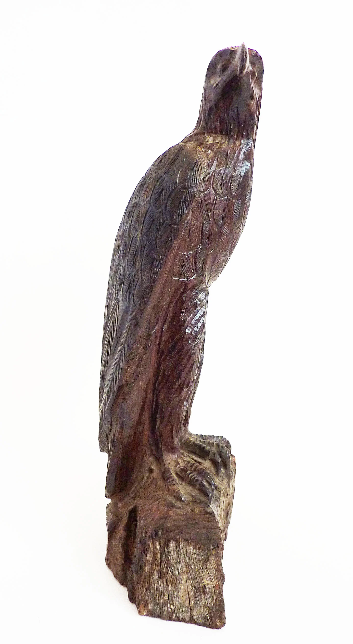 raraavisdesign-eagle side.JPG