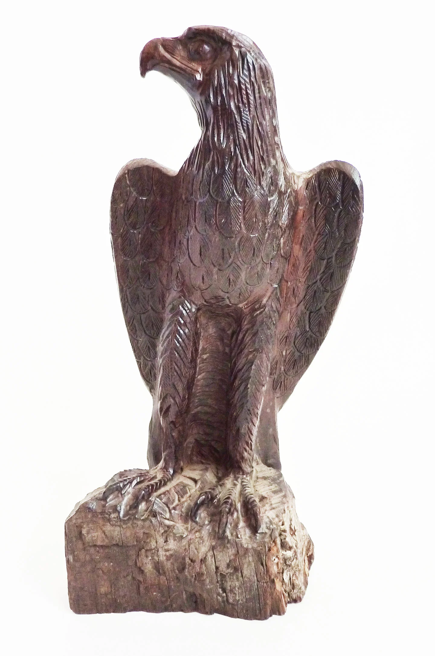 raraavisdesign-eaglefront .JPG